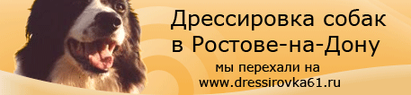 Мы переехали на http://www.dressirovka61.ru/